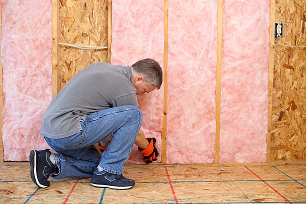 Best Insulation Maintenance and Repair in Renville, MN